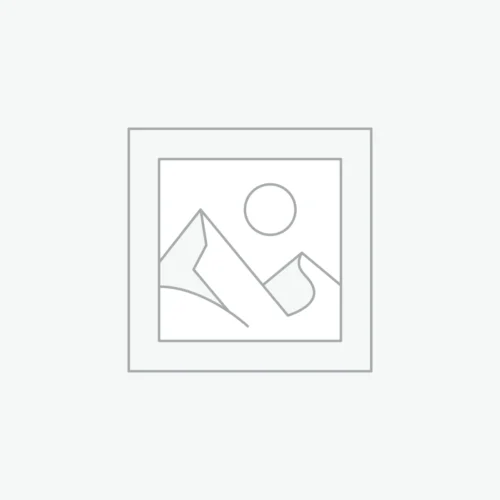 Buy Google Reviews